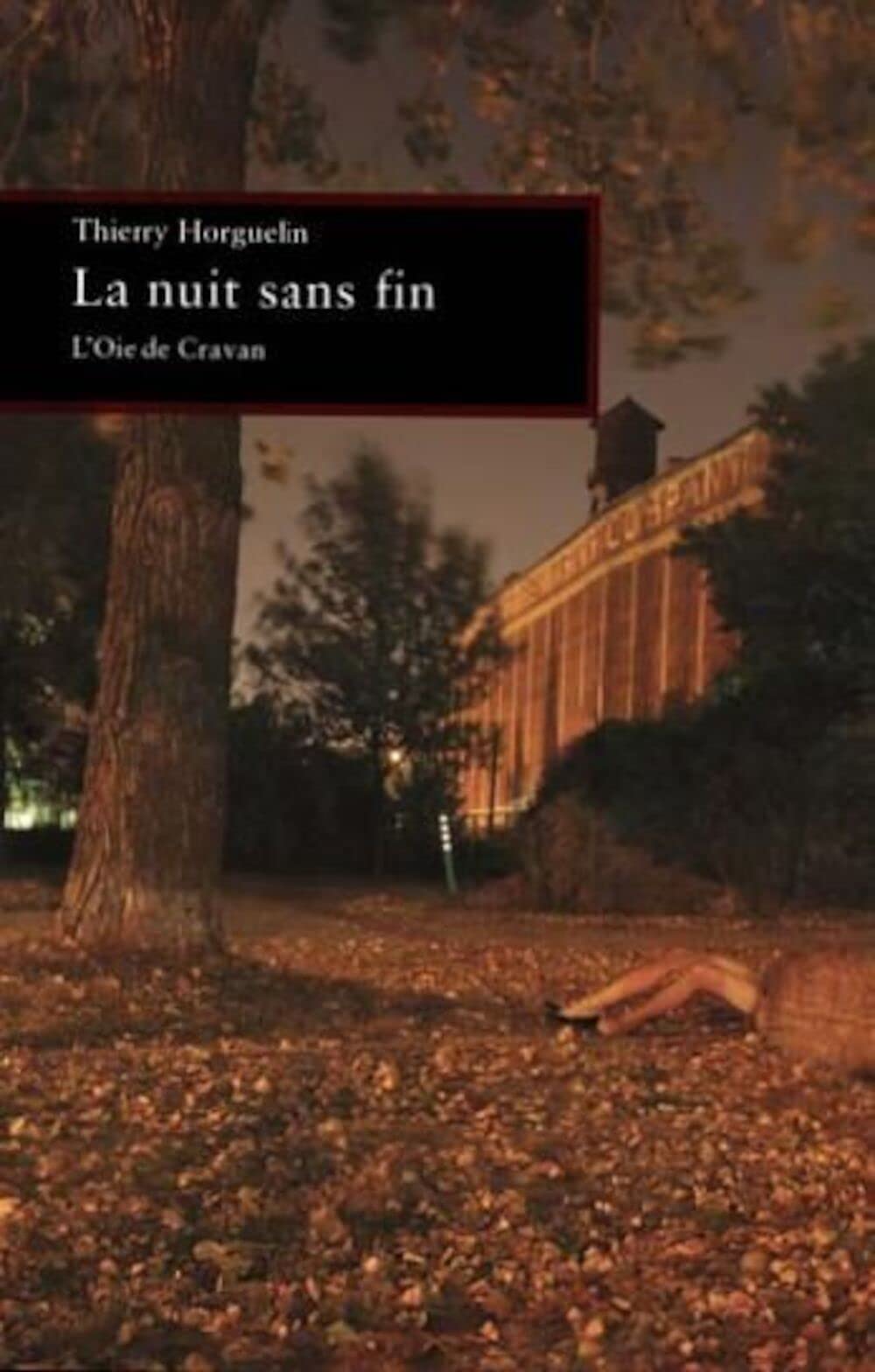 La nuit sans fin: Sept histoires pour occuper le jour book