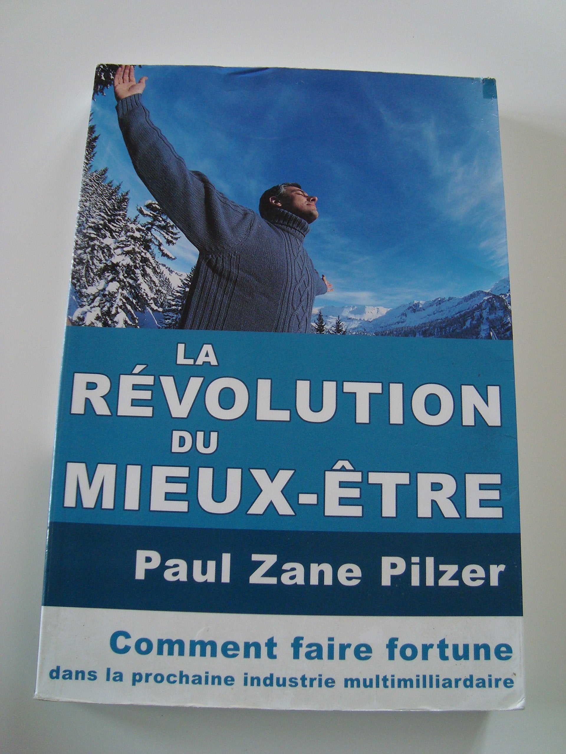 La révolution du mieux-être - comment faire fortune dans la prochaine industrie multimilliardaire Books