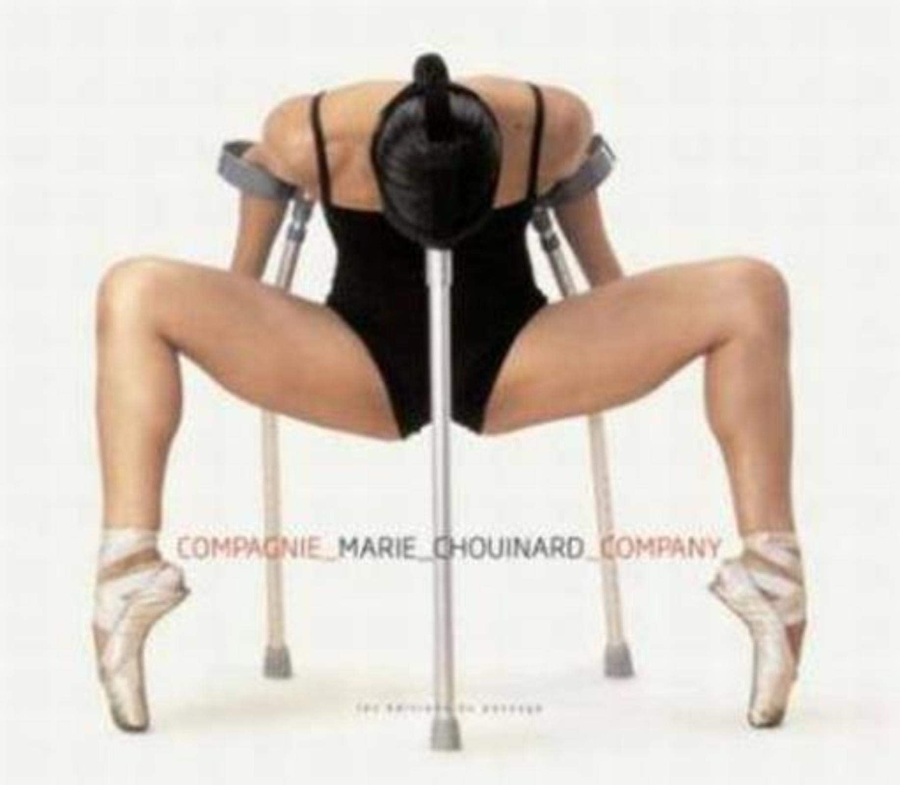Compagnie Marie Chouinard book