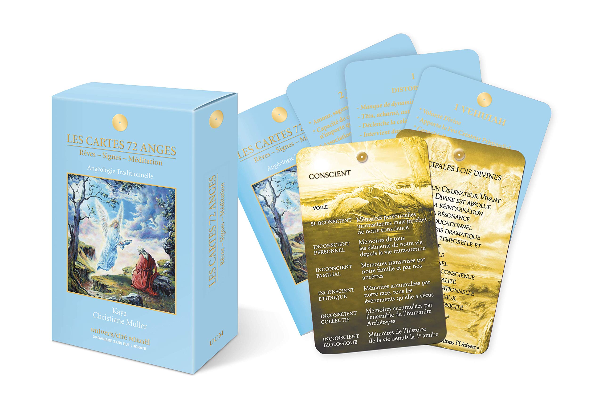 Les cartes 72 anges : Rêves - Signes - Méditation book