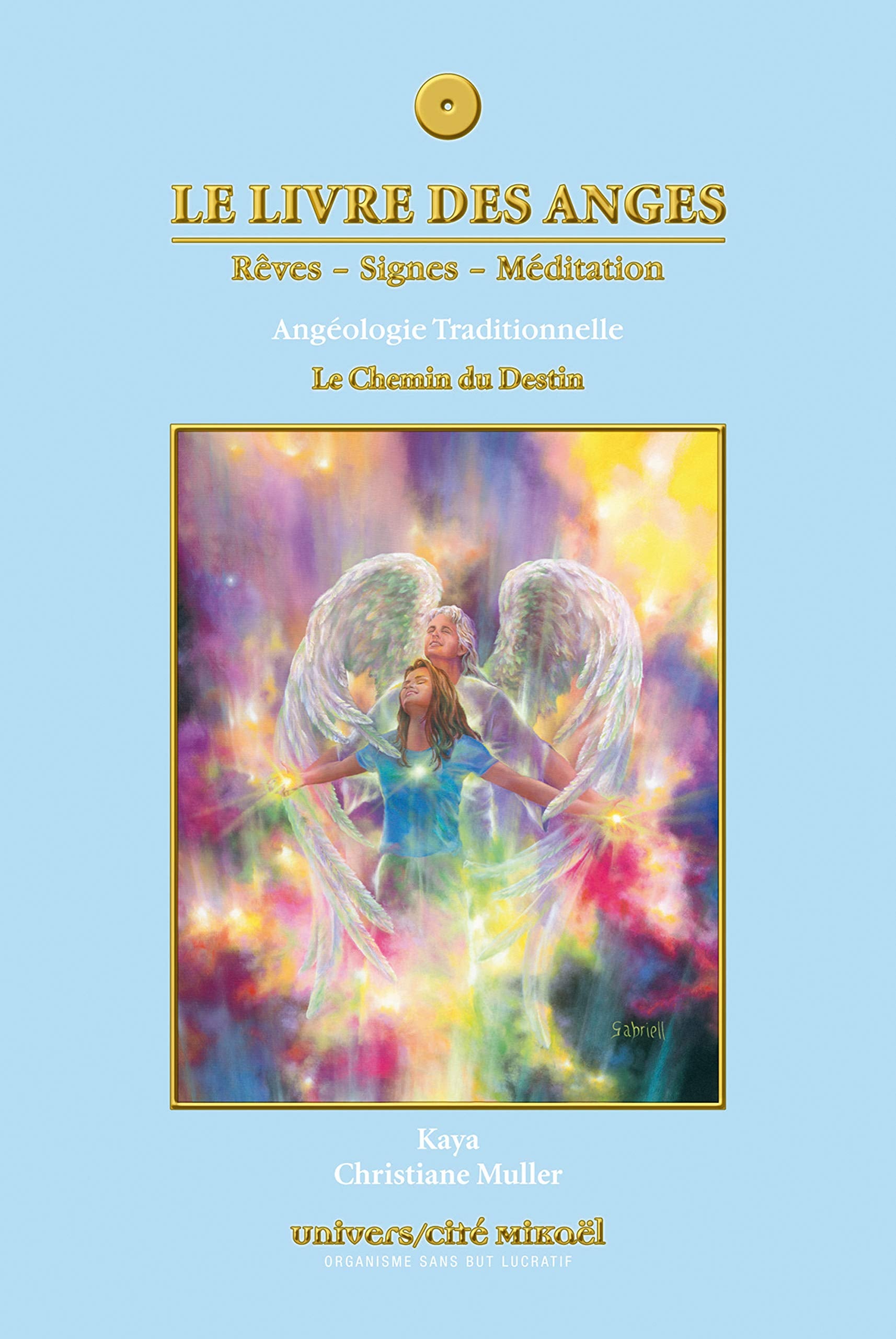 LIVRE DES ANGES TOME 4: Le Chemin du Destin Books