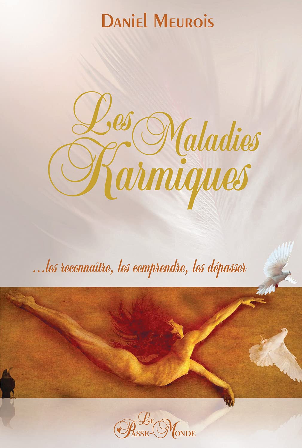 Les Maladies Karmiques: Les reconnaître, les comprendre, les dépasser Religion & Esotericism