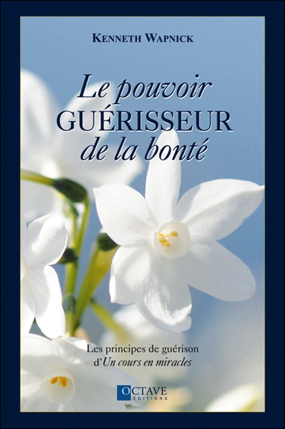 Le pouvoir guérisseur de la bonté book