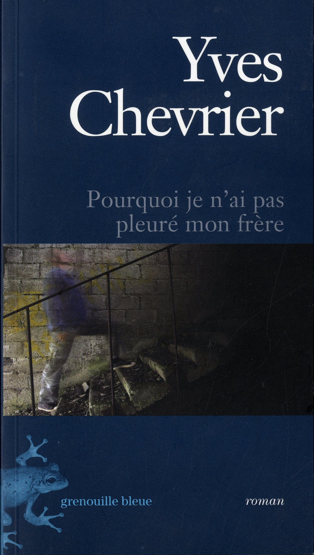 Pourquoi je n'ai pas pleuré mon frere book