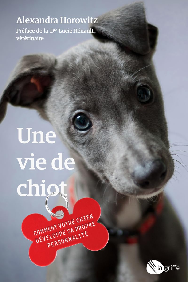 Une vie de chiot: Comment votre chien développe sa propre personnalité Pets