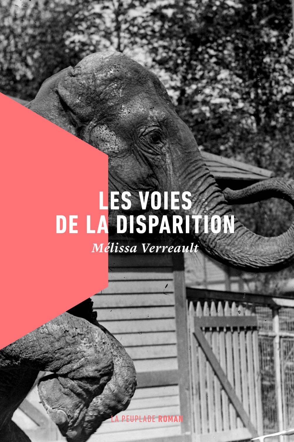 Les voies de la disparition Contemporary literature