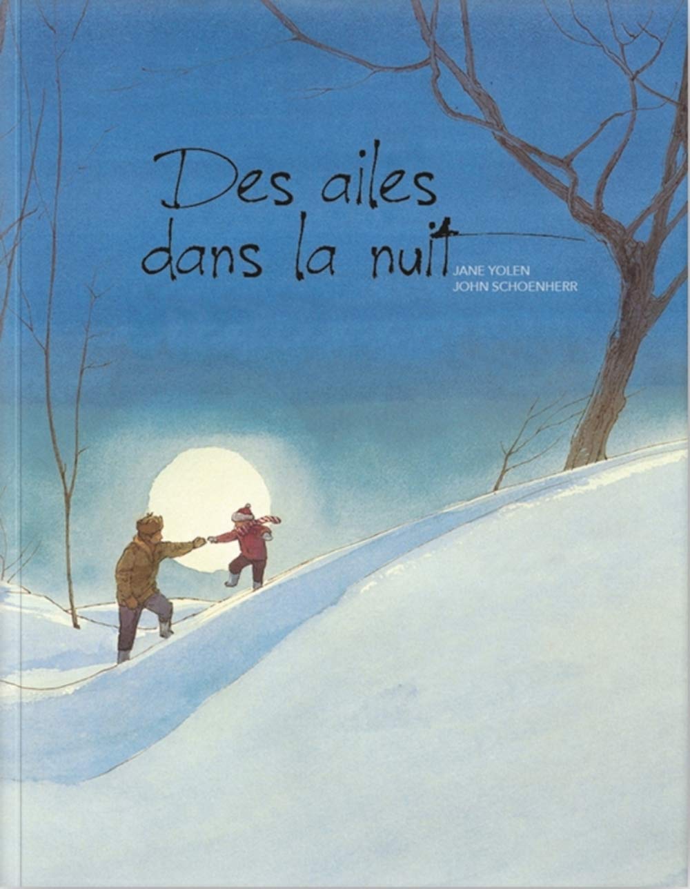 Des ailes dans la nuit book