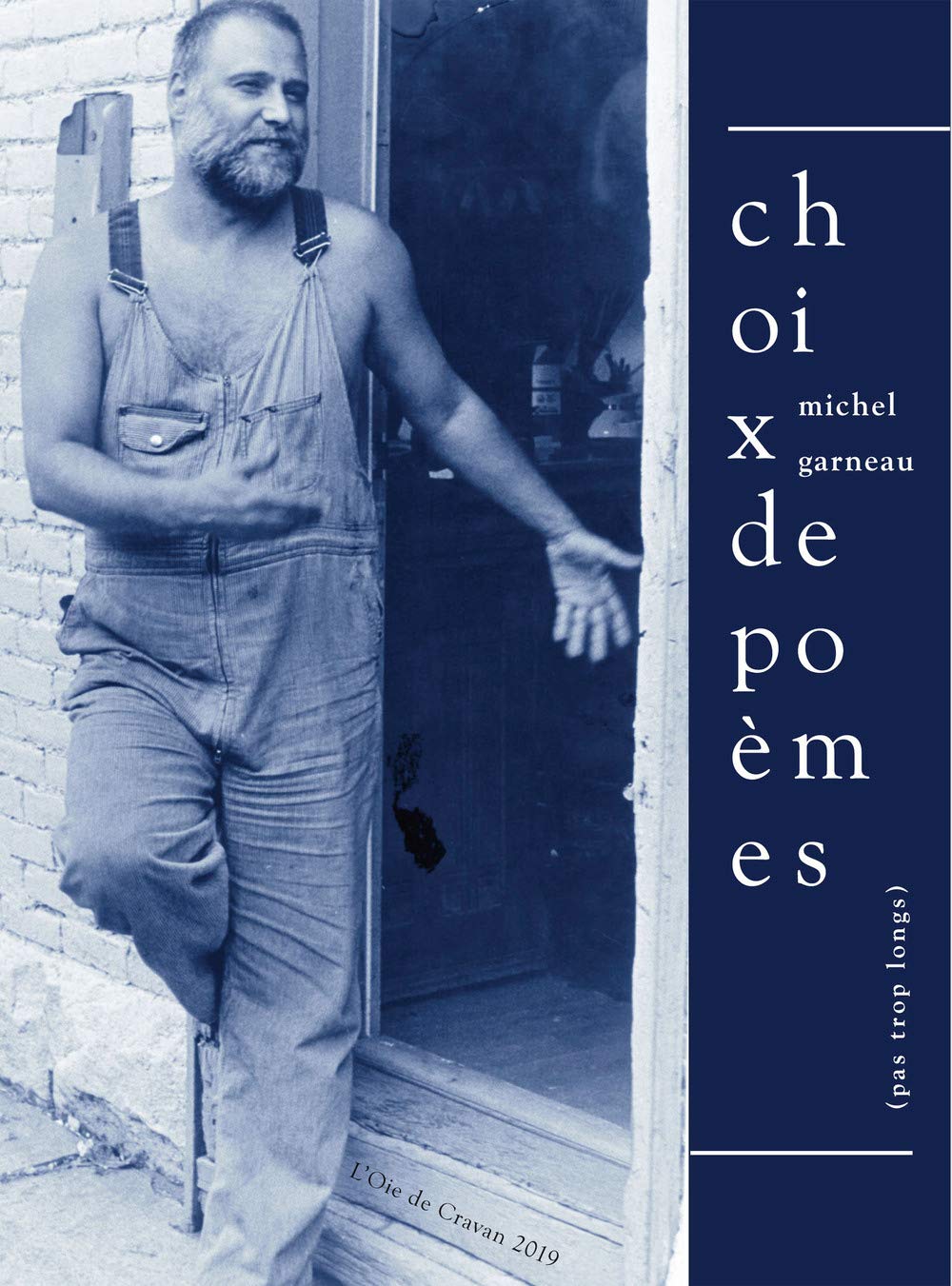 Choix de poèmes (pas trop longs): Une anthologie personnelle book