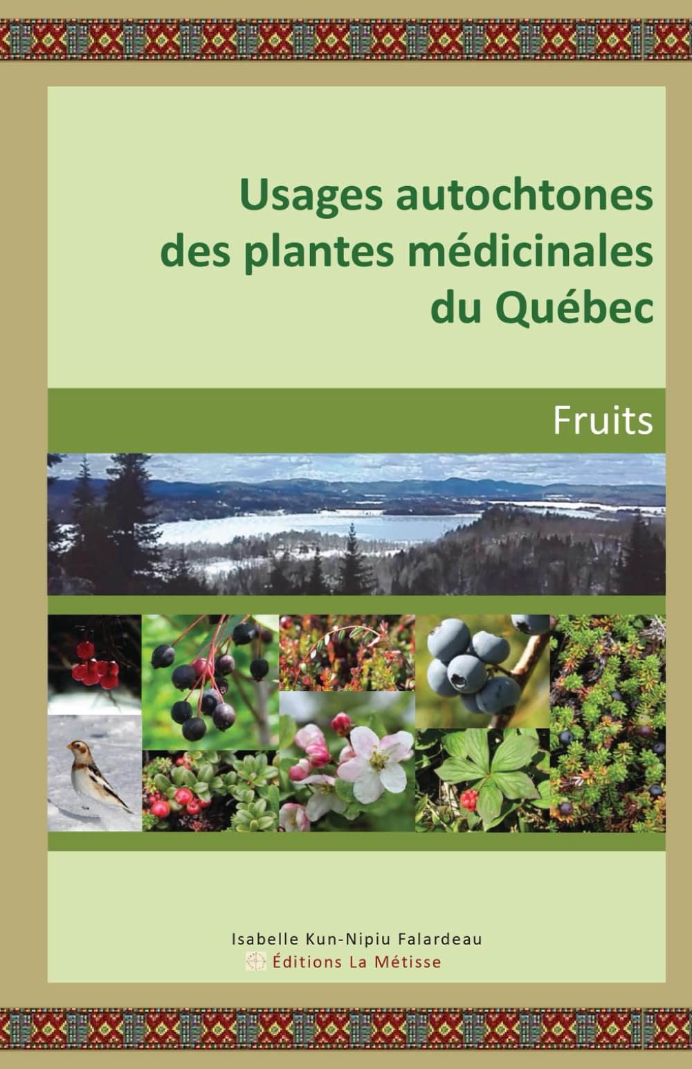 USAGES AUTOCHTONES DES PLANTES MÉDICINALES DU QUÉBEC: FRUITS book