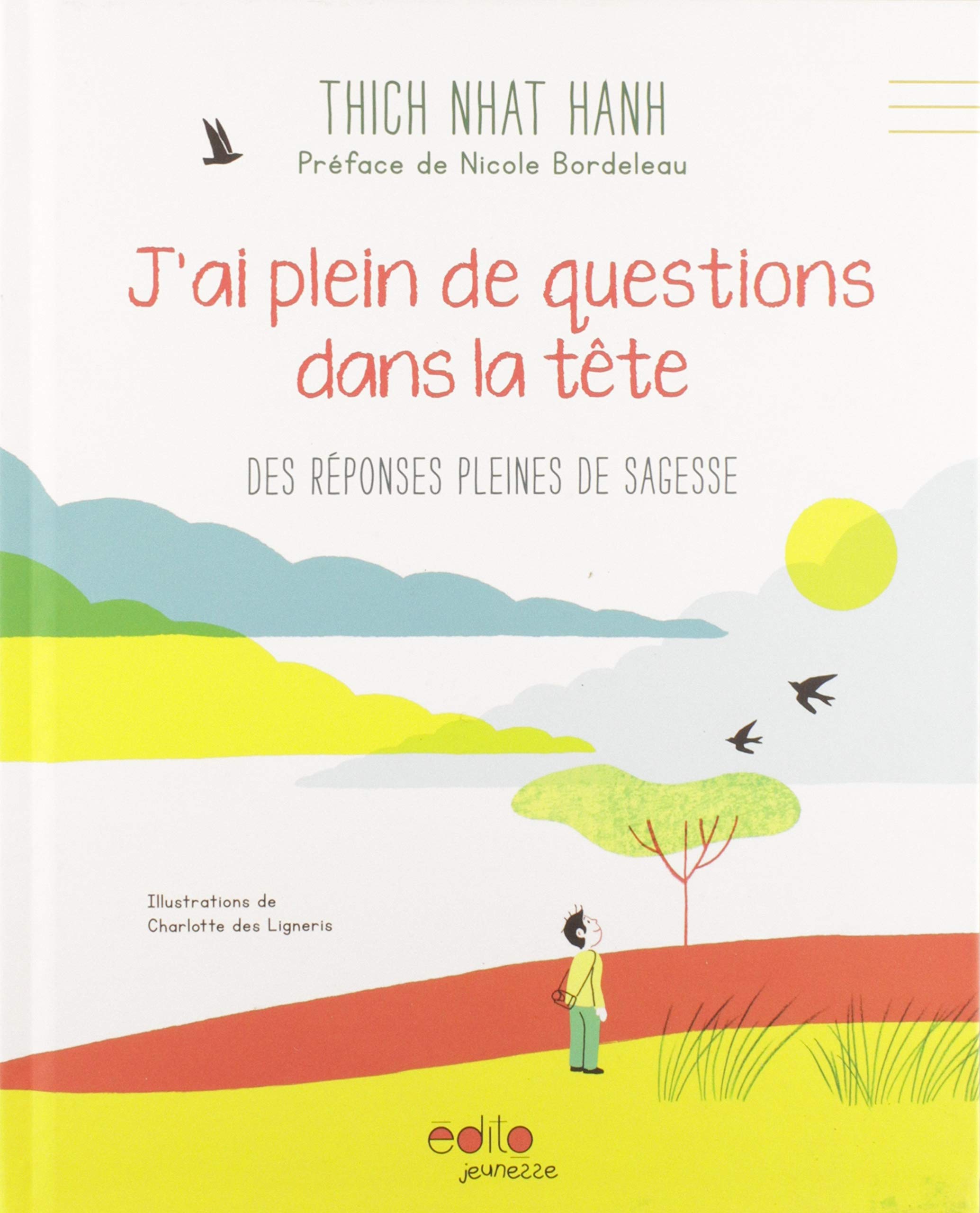 J'ai plein de questions dans ma tête: Des réponses pleines de sagesse book