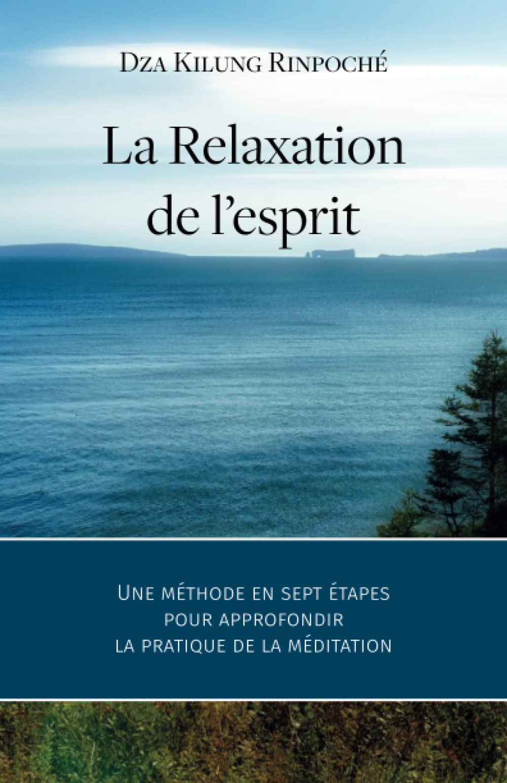 La Relaxation de l’esprit : Une méthode en sept étapes pour approfondir la pratique de la méditation book
