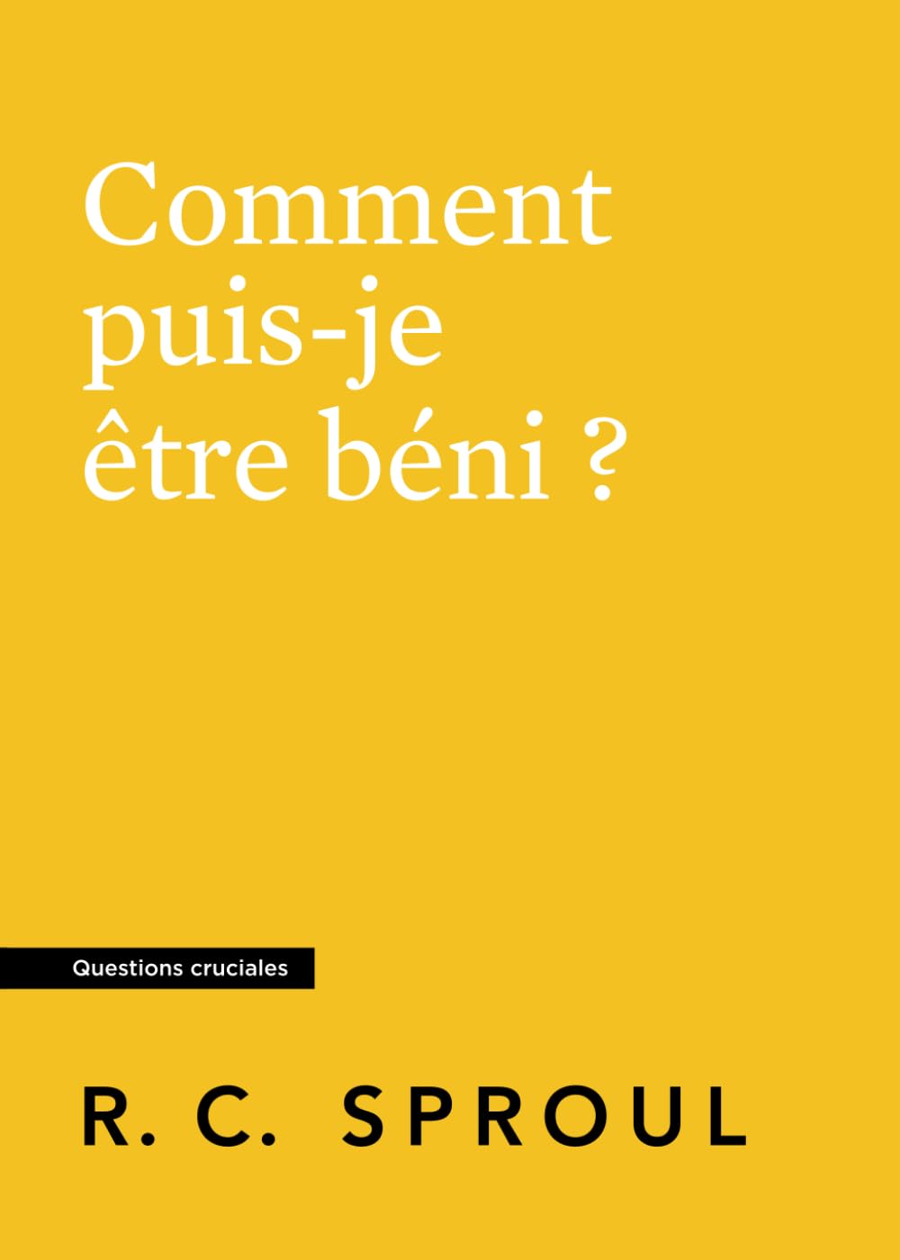 Comment puis-je être béni ?: Questions cruciales book