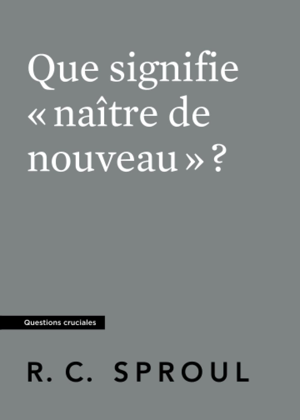 Que signifie « naître de nouveau » ?: Questions cruciales book