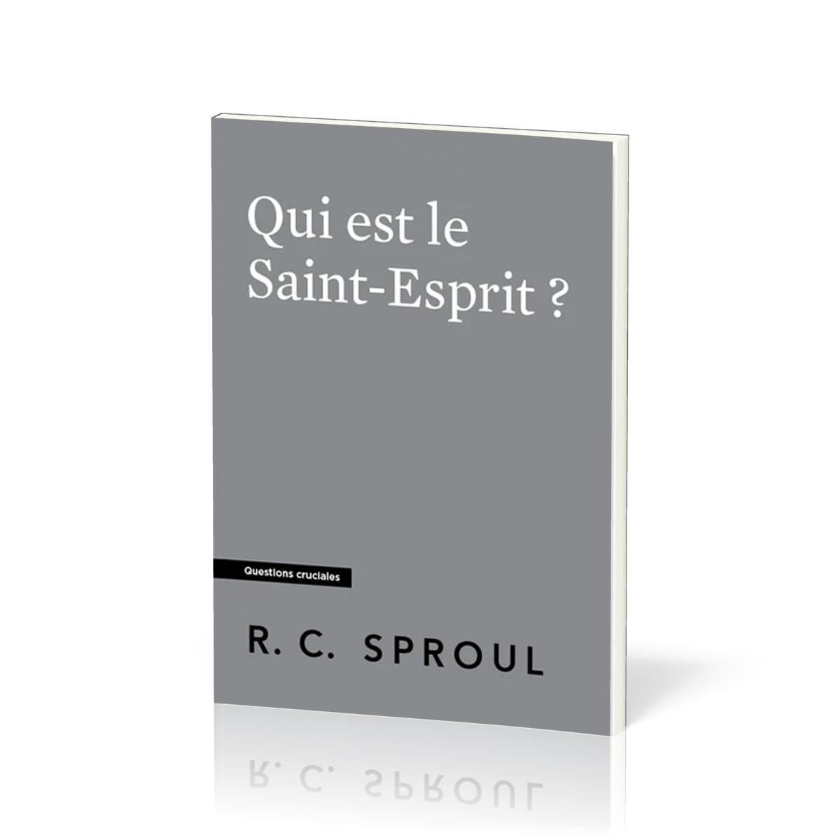 Qui est le Saint-Esprit ?: Questions cruciales book