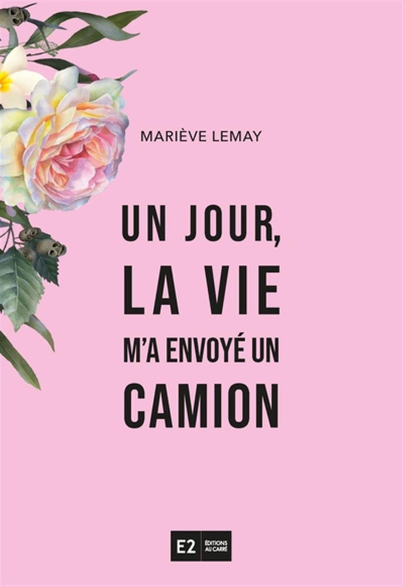 Un jour, la vie m'a envoye un camion book