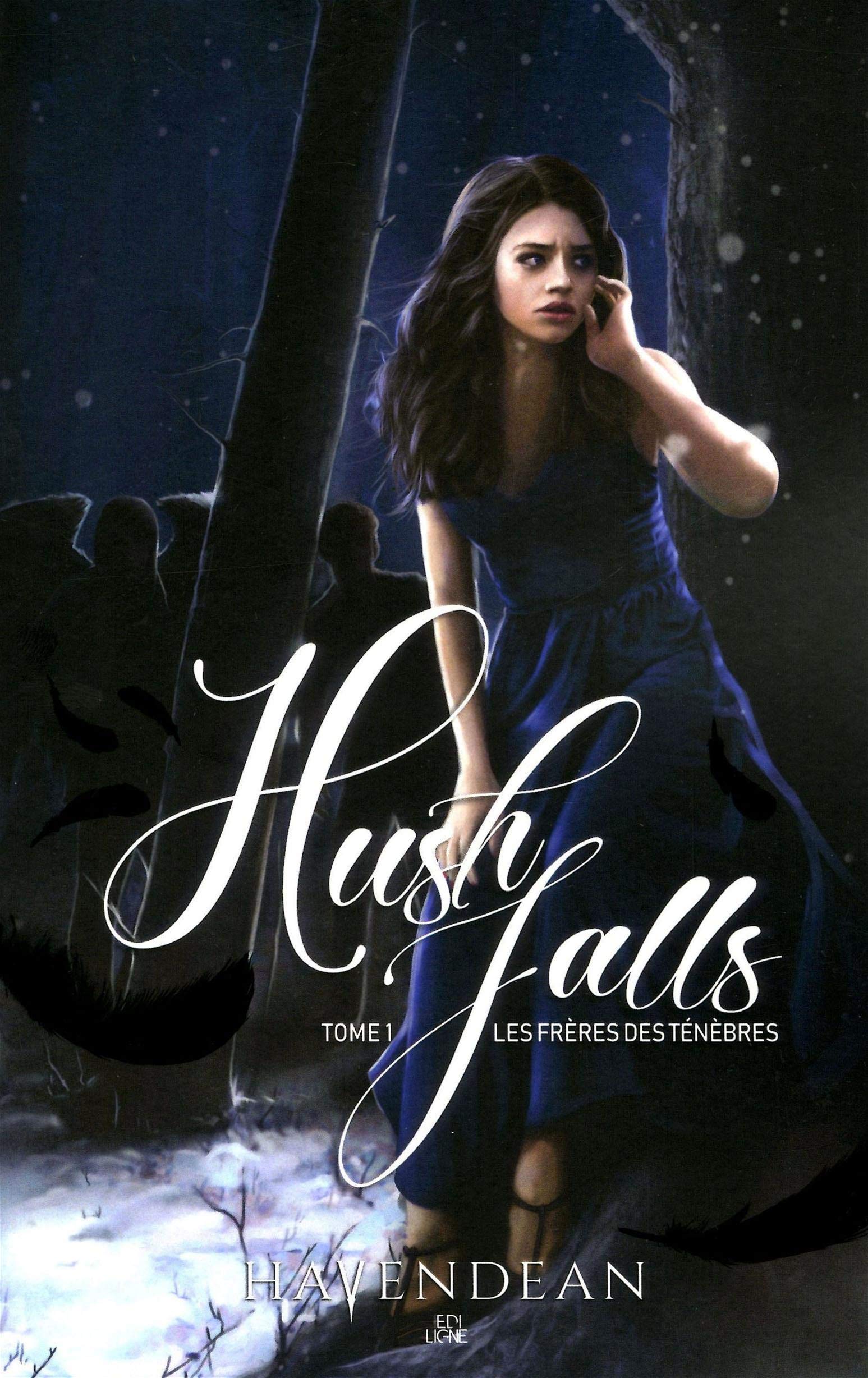 Hush Falls: Les frères des ténèbres book