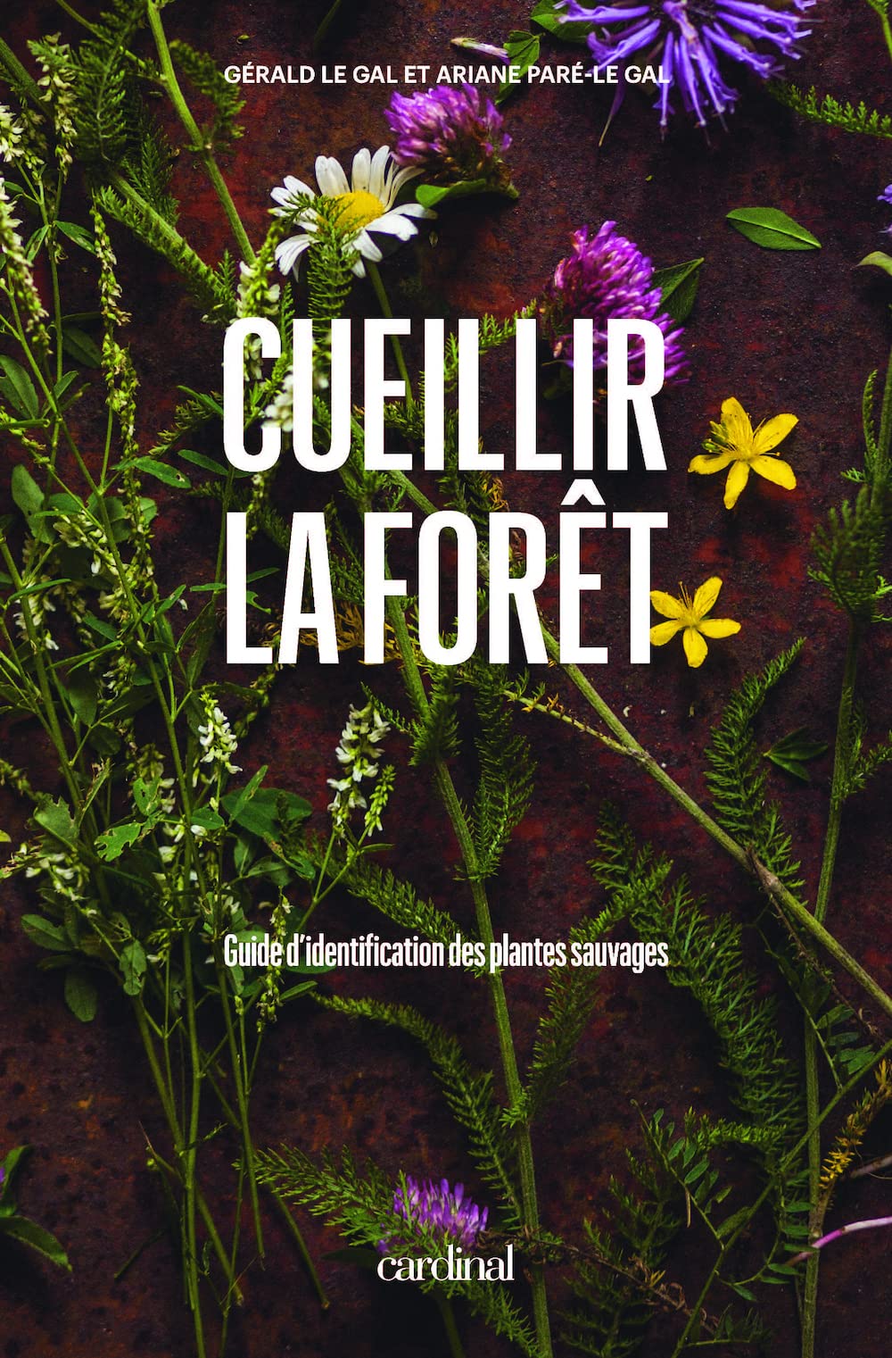 Cueillir la forêt. Guide d'identification des plantes sauvages book