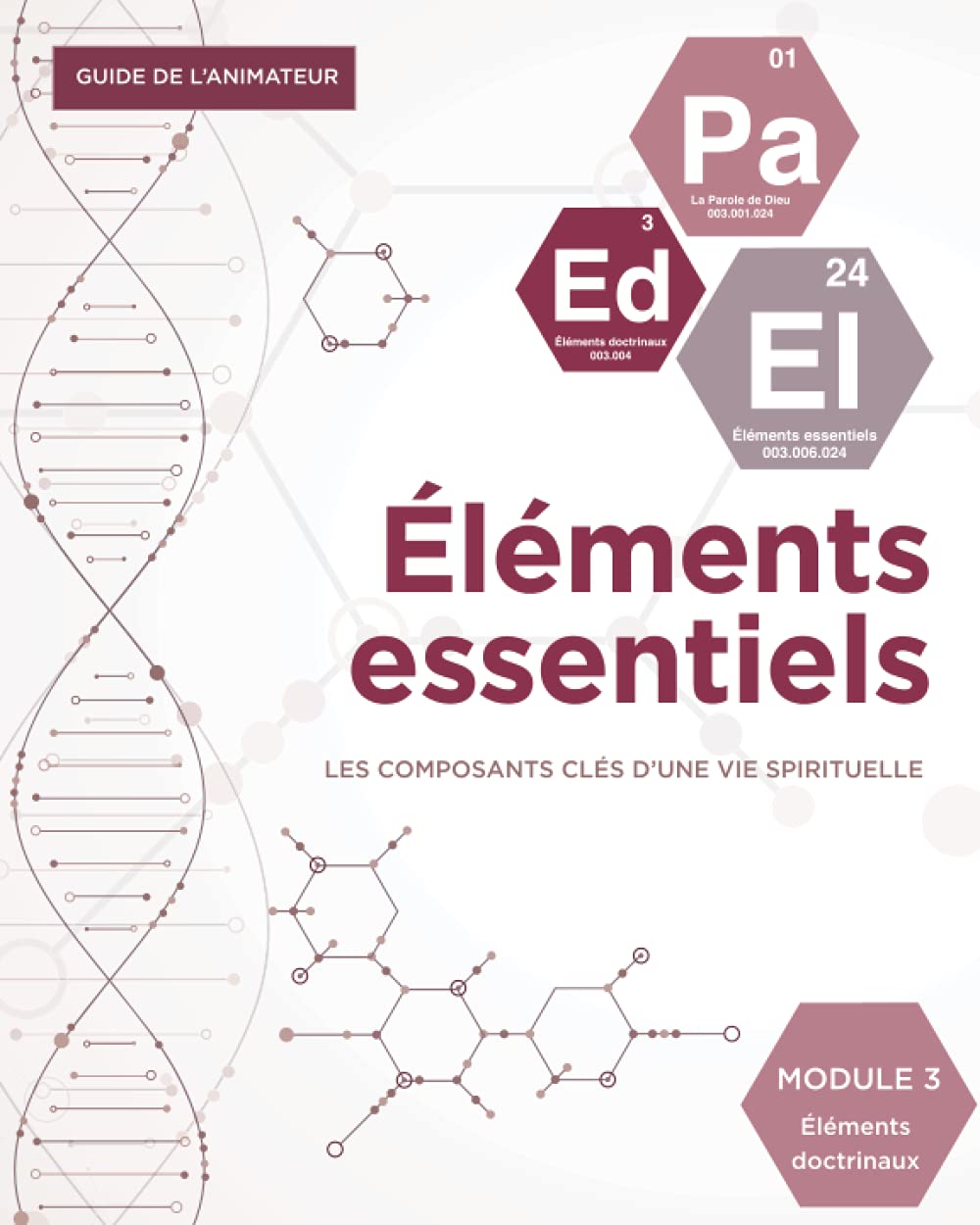 Éléments doctrinaux (Guide de l'animateur): Éléments essentiels Module 3 (Éléments essentiels : Les composants clés d'une vie spirituelle) Religion & Esotericism