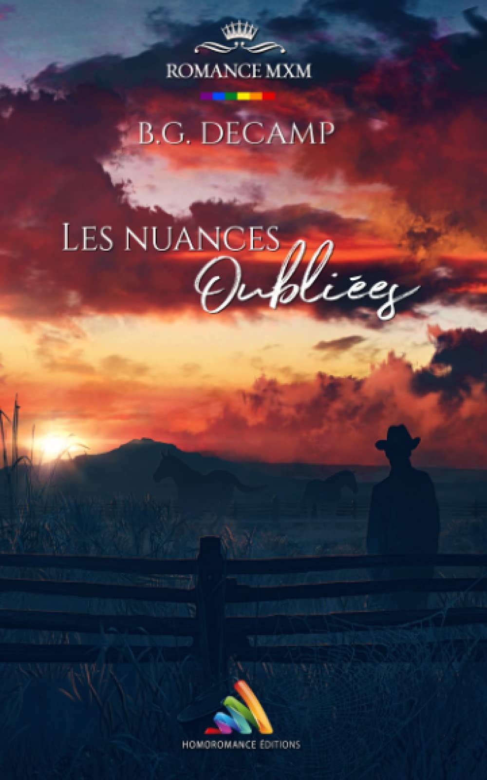Les Nuances oubliées: Roman gay LGBTQ+