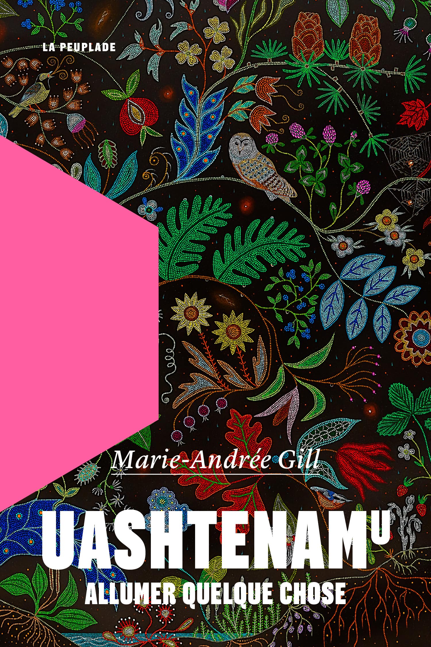 Uashtenamu: Allumer quelque chose Poetry