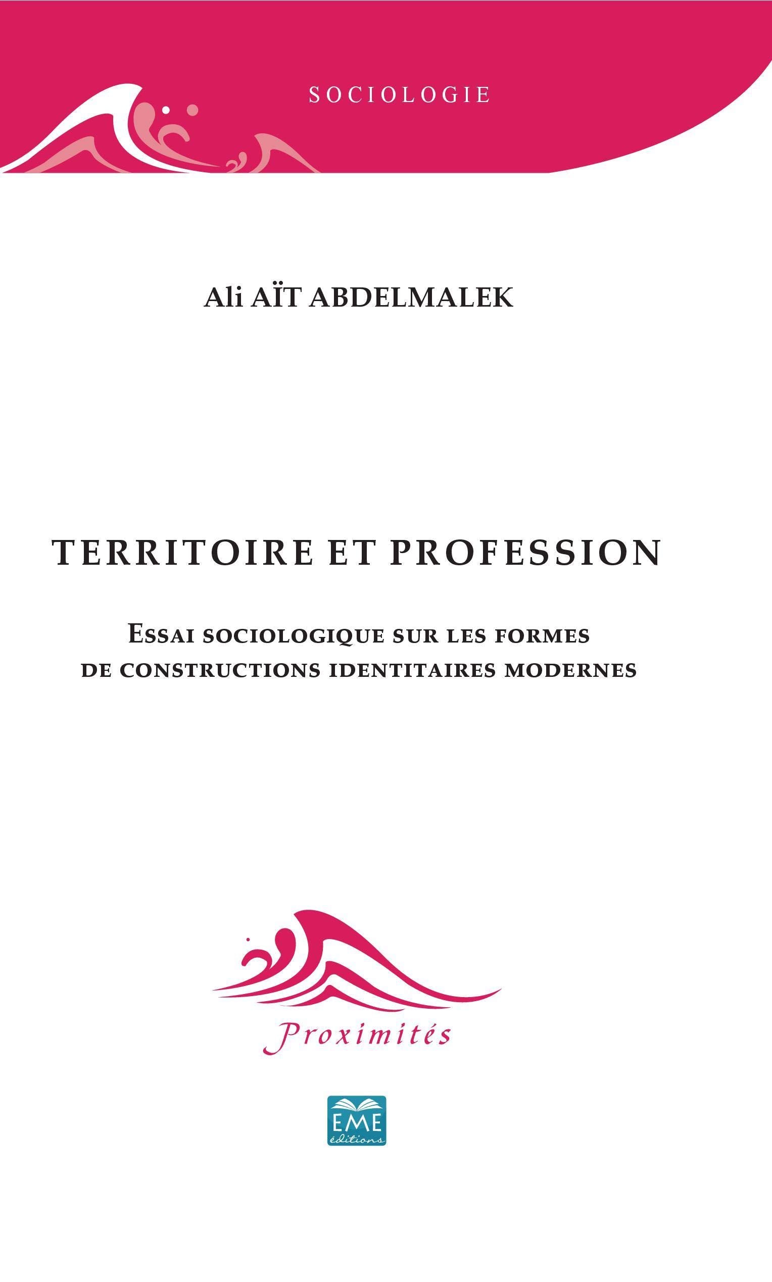 Territoire et profession: Essai sociologique sur les formes de constructions identitaires modernes book