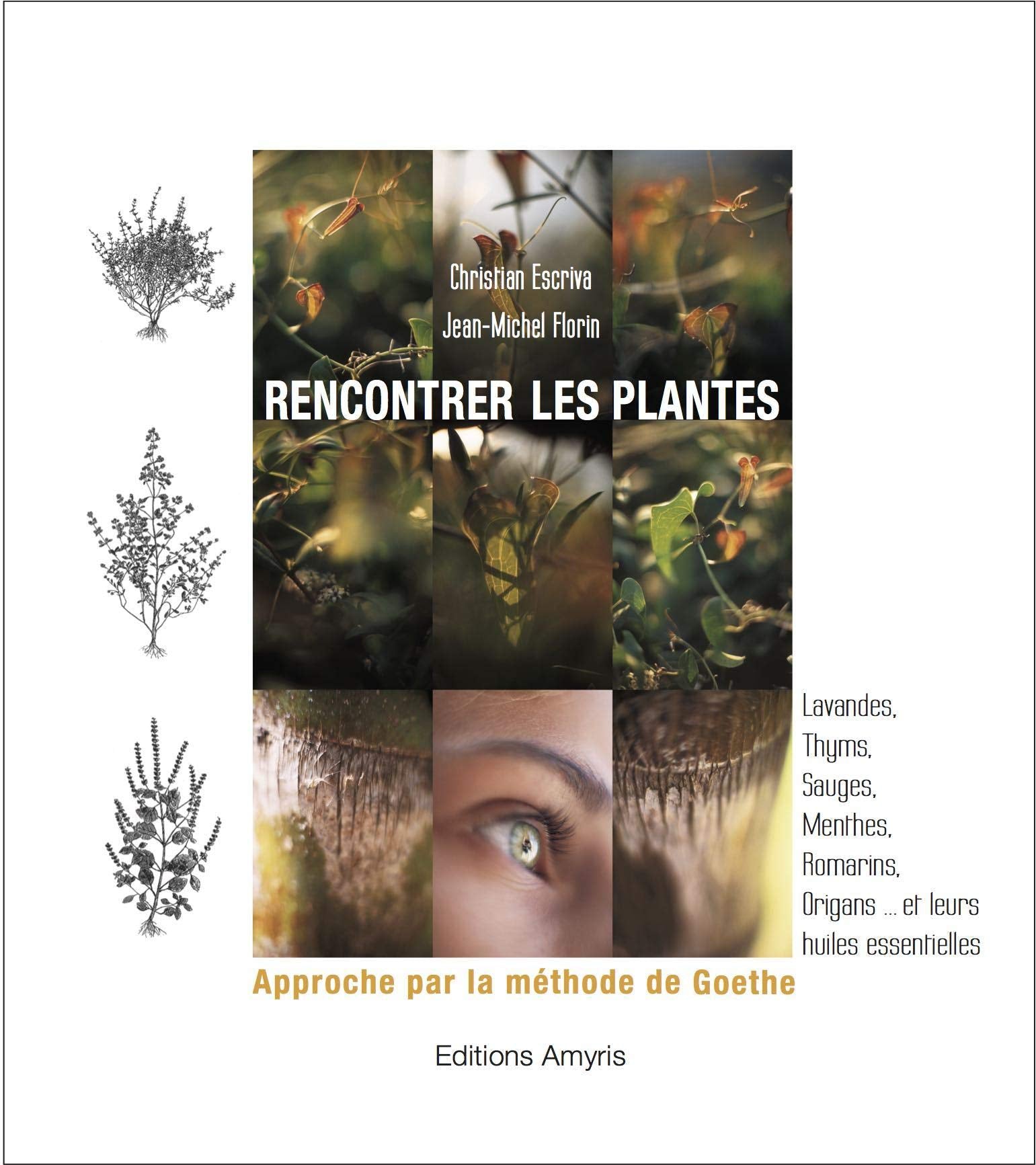 Rencontrer les Plantes - Approche par la méthode de Goethe book