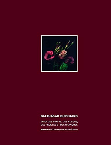 Balthasar Burkhard: Voici des fruits, des fleurs, des feuilles et des branches Travel