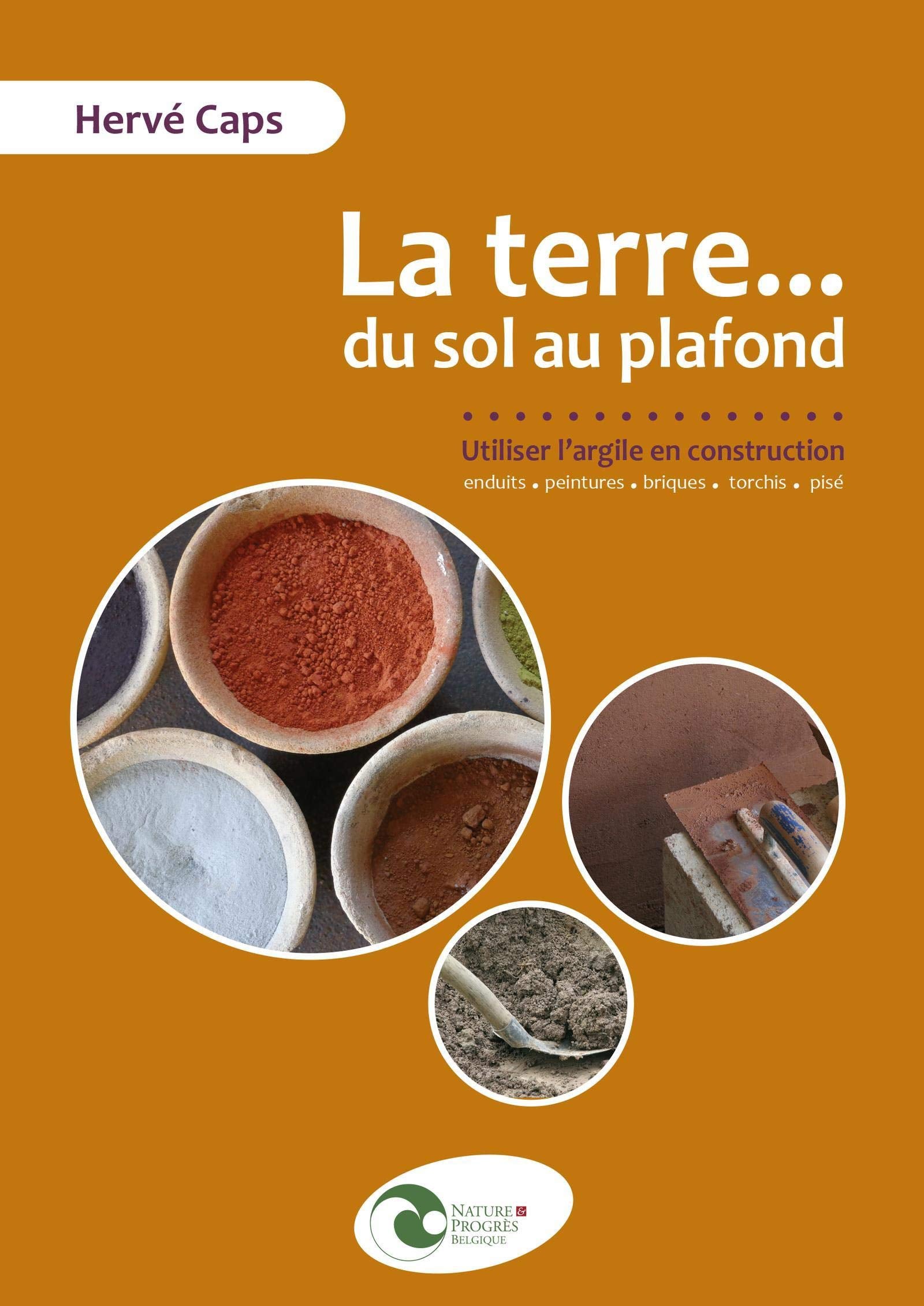 La terre...du sol au plafond : Utiliser l'argile en autoconstruction, enduits, peintures, briques, torchis, pisé book