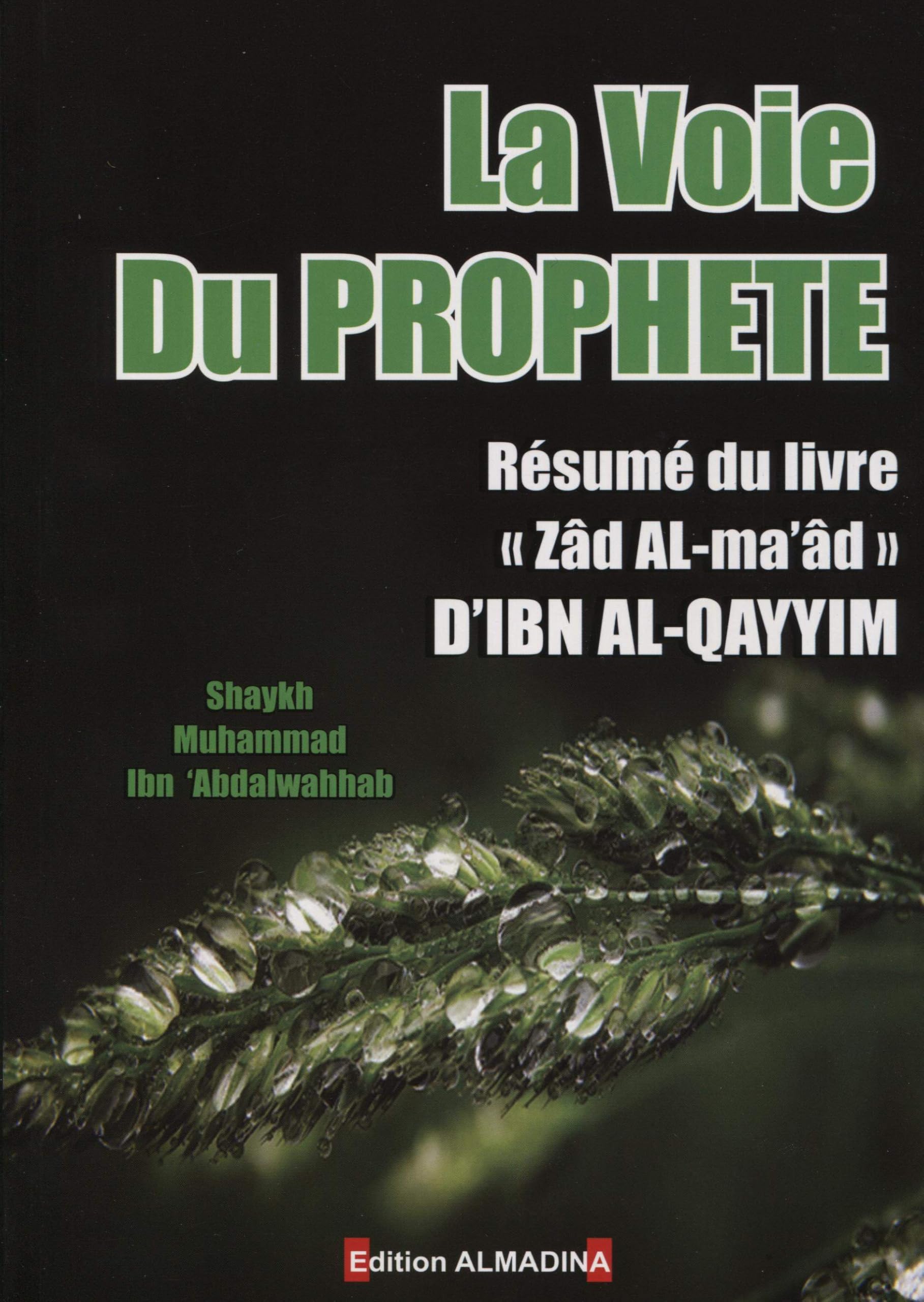 La Voie Du Prophète(salla allah alayhi wa salam) / résumé du livre Zad Al Ma'ad d'Ibn al-Qayyim Books