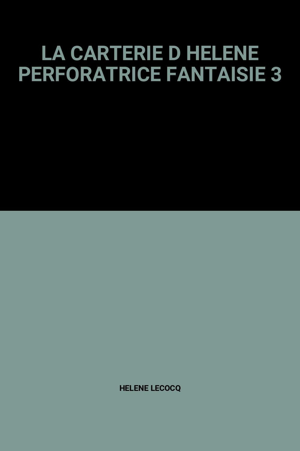 LA CARTERIE D HELENE PERFORATRICE FANTAISIE 3 book