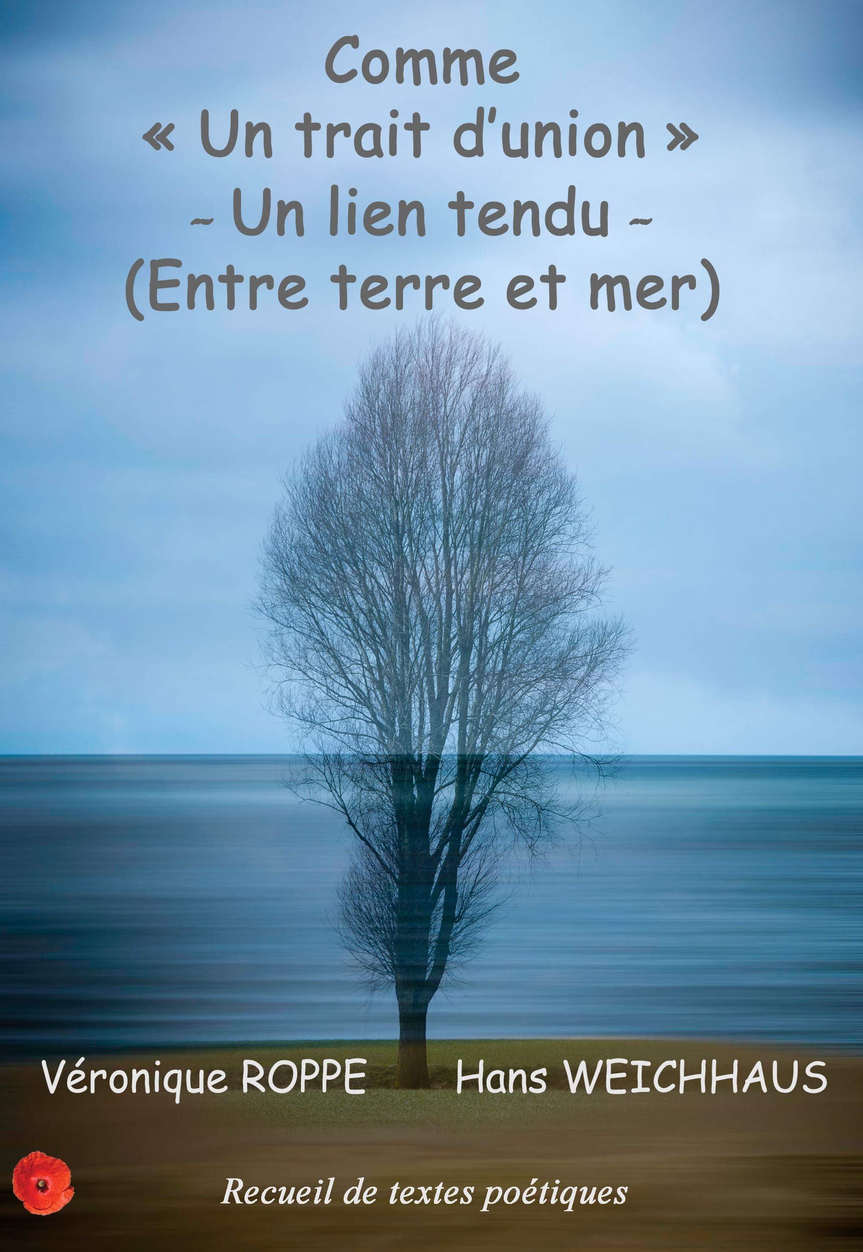 Comme un trait d'union: un lien entre terre et mer book