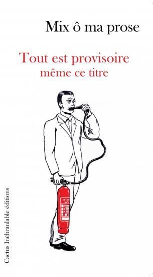 Tout est provisoire même ce titre book