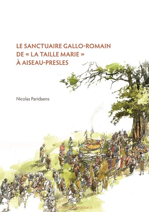 Le Sanctuaire Gallo-Romain De La Taille Marie a Aiseau-Presles book
