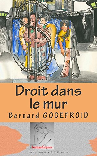 Droit dans le mur: Recueil de pamphlets et de textes politiquement incorrects book