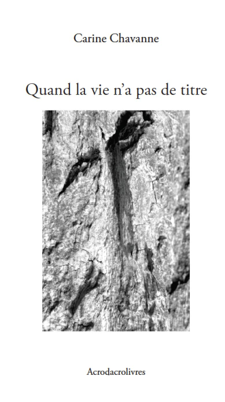 Quand la Vie N a Pas de Titre book