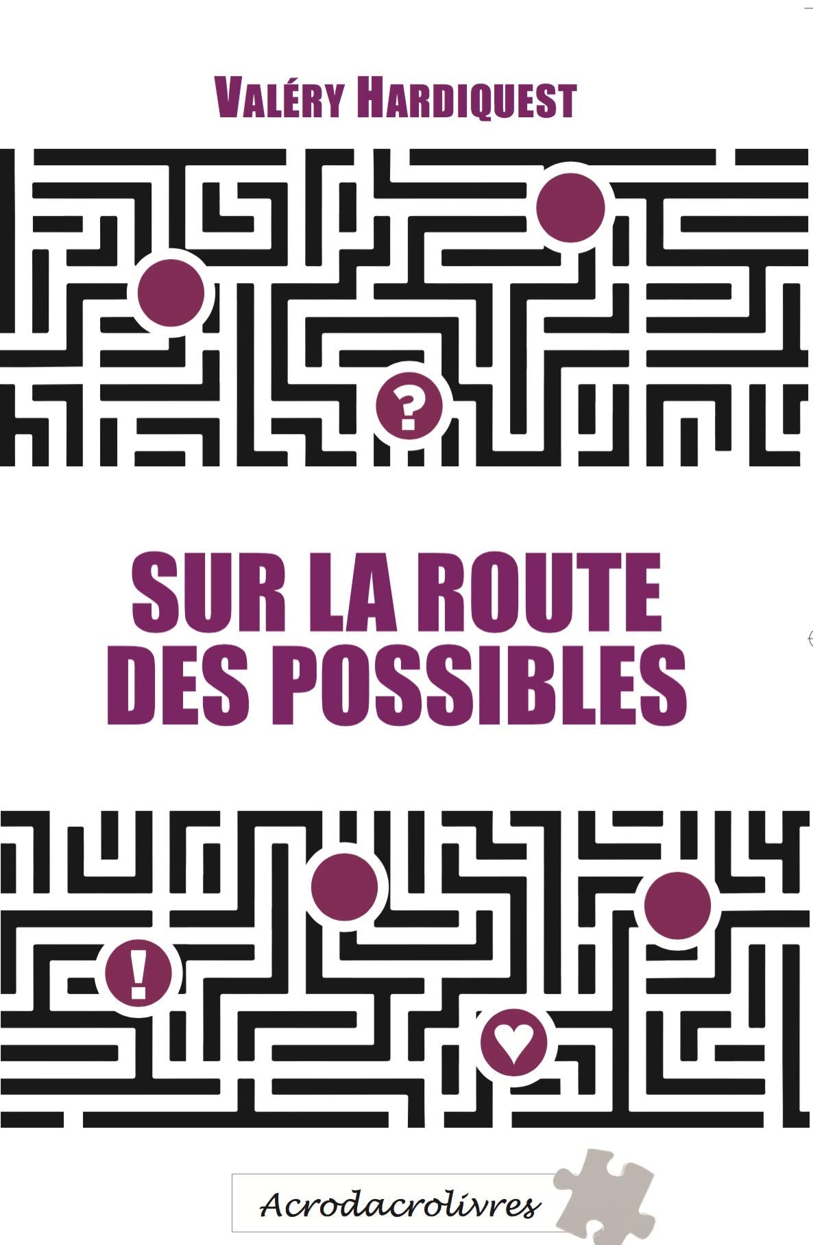Sur la route des possibles book