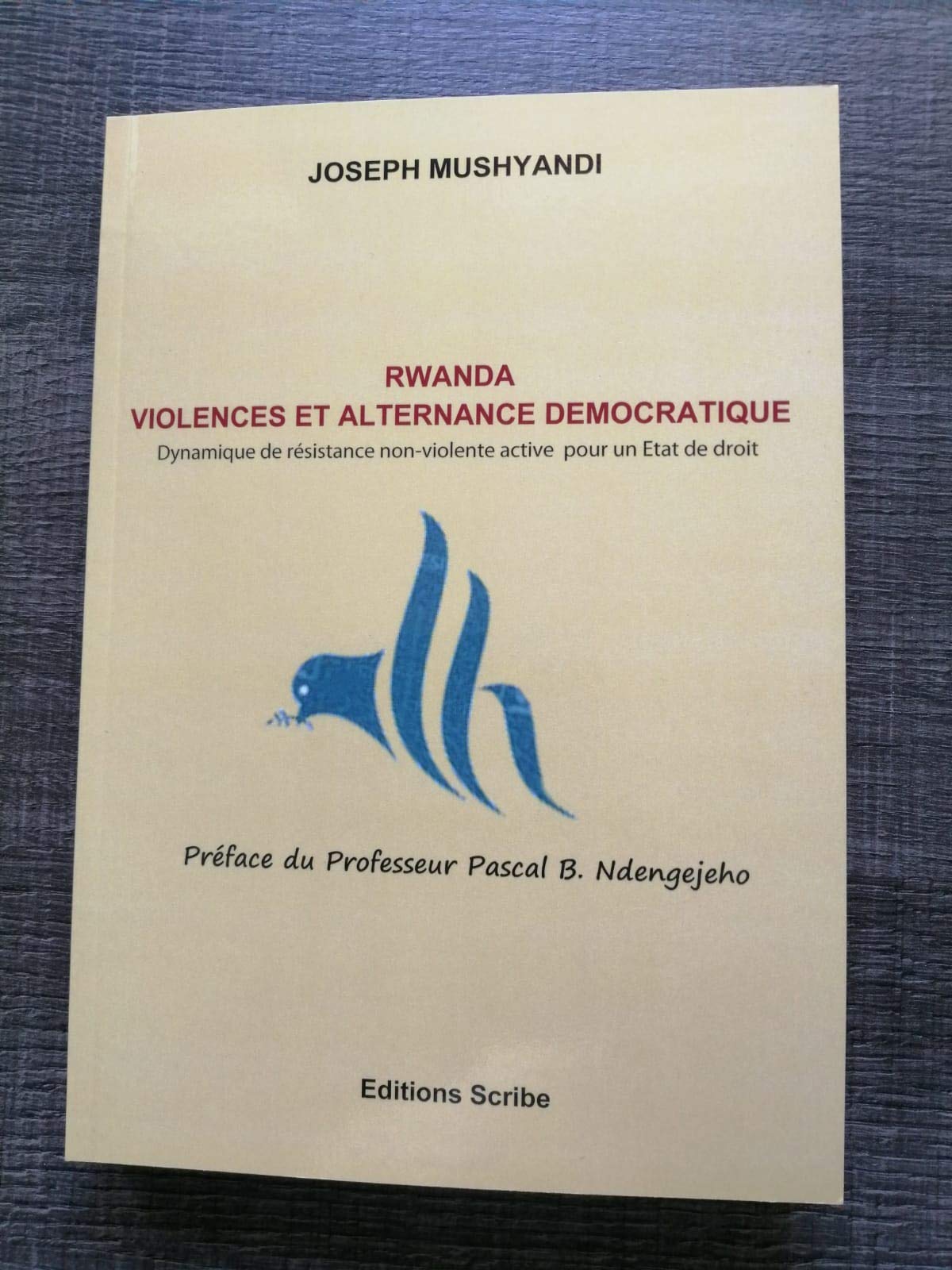 Rwanda Violences et Alternance démocratique dynamique de résistance non-violente active pour un Etat de droit Books