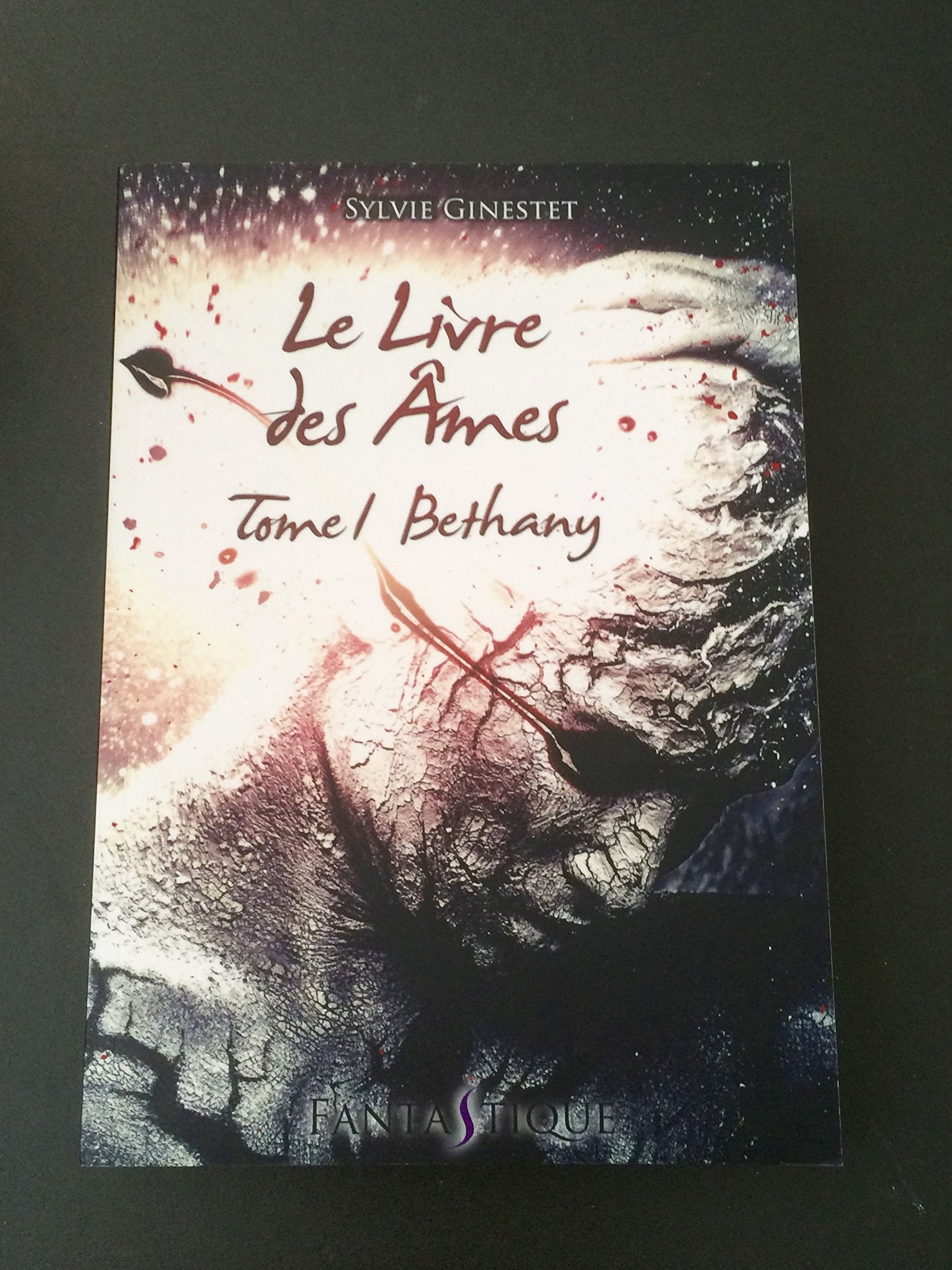 Le Livre des Âmes - Tome 1 : Bethany book