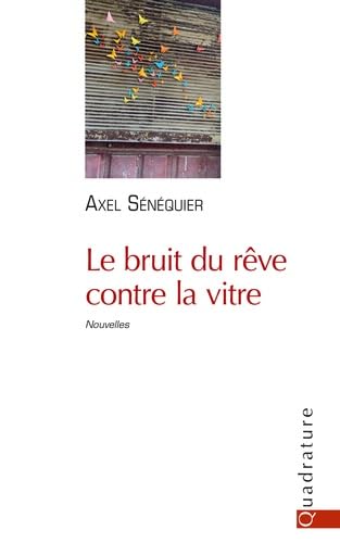 Le bruit du rêve contre la vitre book