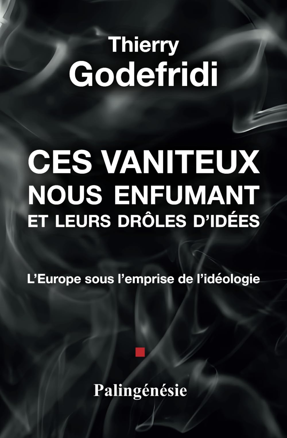 Ces vaniteux nous enfumant et leurs drôles d'idées: L'Europe sous l'emprise de l'idéologie book