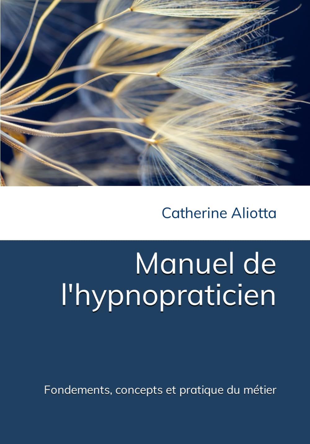 Manuel de l'hypnopraticien: Fondements, concepts et pratique du métier Lifestyle