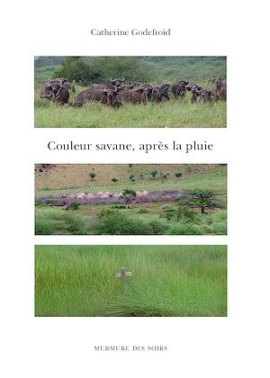Couleur savane, après la pluie Contemporary literature