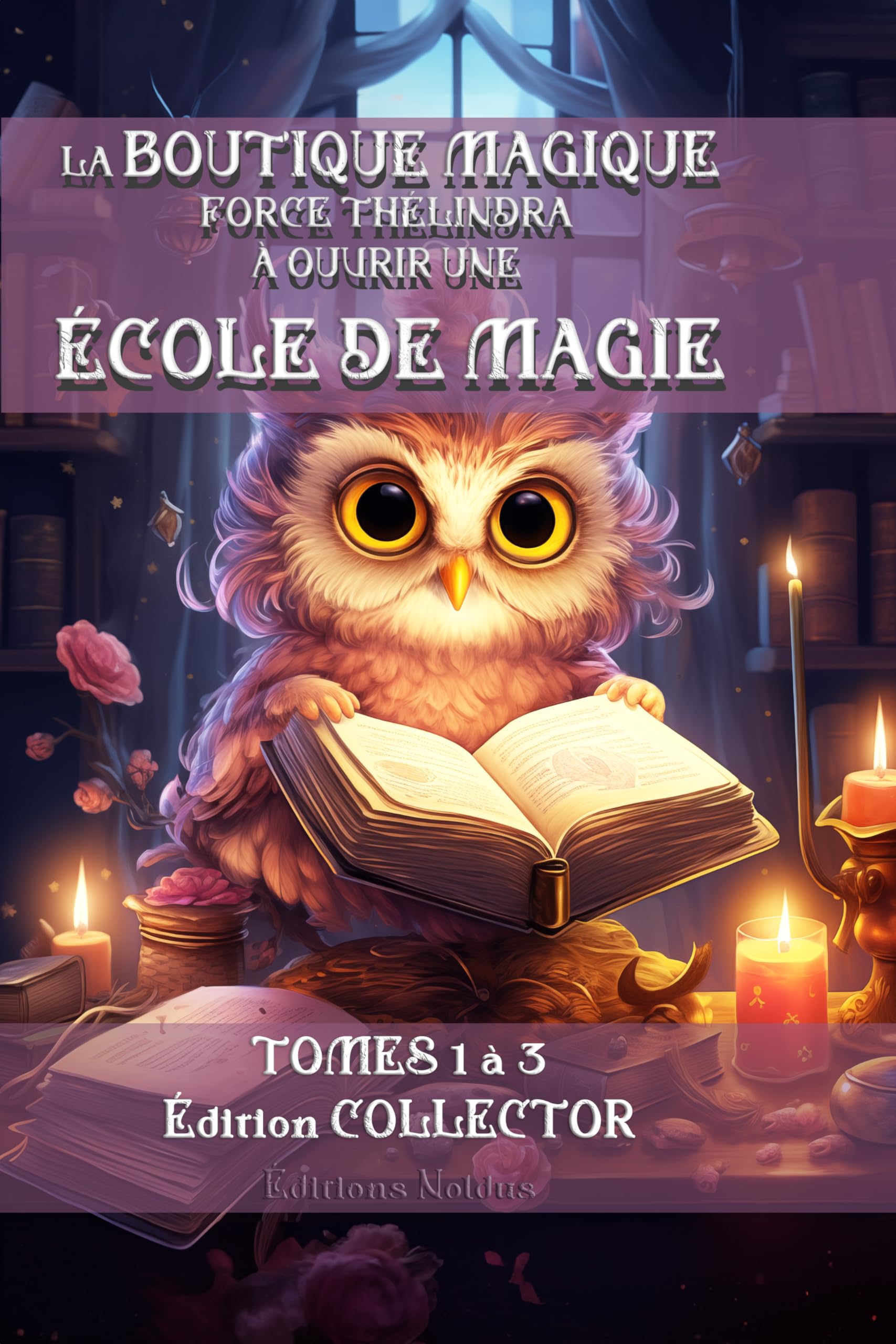 LA BOUTIQUE MAGIQUE FORCE THÉLINDRA À OUVRIR UNE ÉCOLE DE MAGIE - Édition Collector Tome 1, 2 et 3 DYS: LA BOUTIQUE MAGIQUE DE SAINT GEORGE + L'ÉCHO DE LA MAGIE + L'OMBRE AU SEIN DE LA LUMIÈRE book