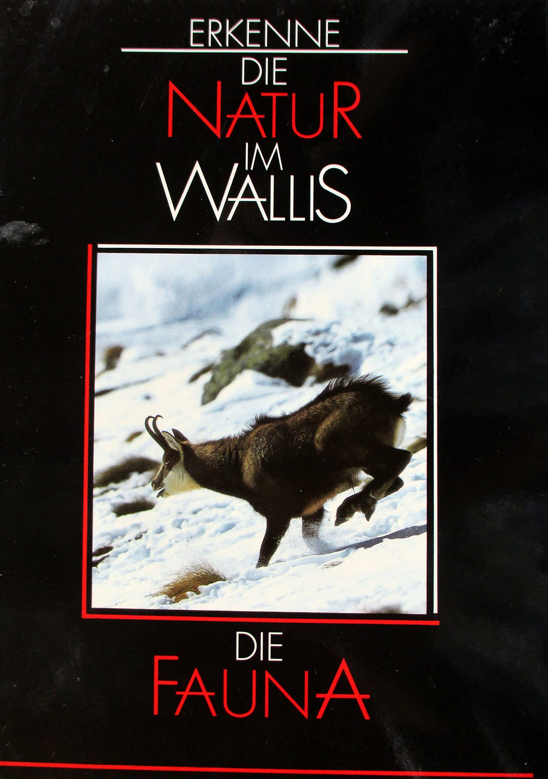 DIE Fauna. (Übersetzung: Emil Witzig und Hugo Sarbach). (= Erkenne die Natur im Wallis - Nr. 3) Business & Technology