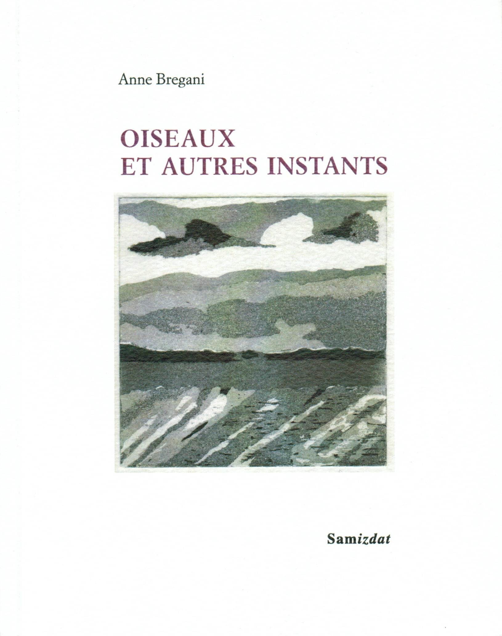 Oiseaux et autres instants book