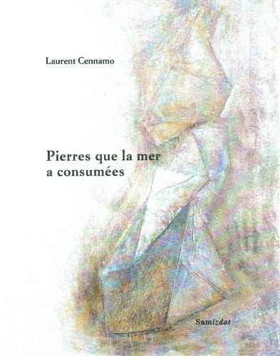Pierres que la mer a consummées book
