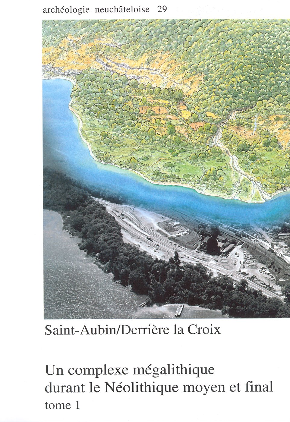 Saint-Aubin/Derrière la Croix: Un complexe mégalithique durant le Néolithique moyen et final. book