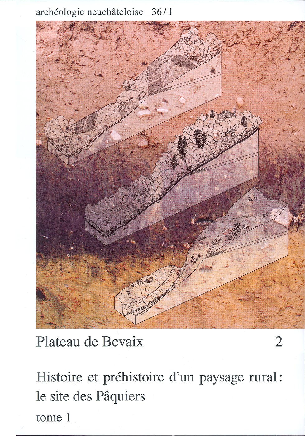 Plateau de Bevaix 2: Histoire et préhistoire d'un paysage rural : le site des Pâquiers. book