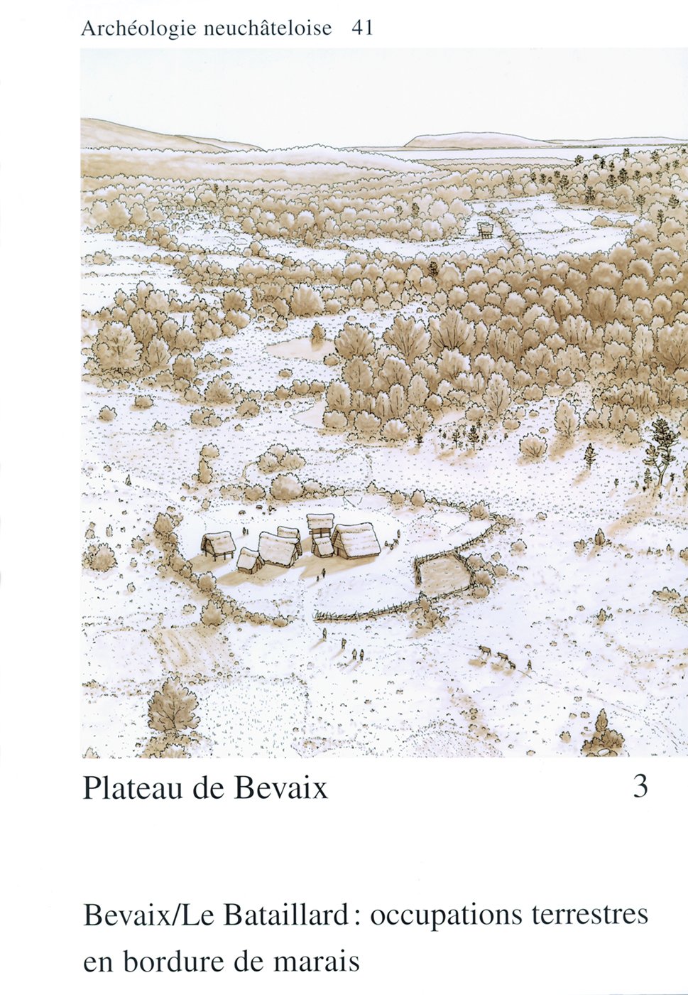 Plateau de Bevaix 3: Bevaix/Le Bataillard : occupations terrestres en bordure de marais. book