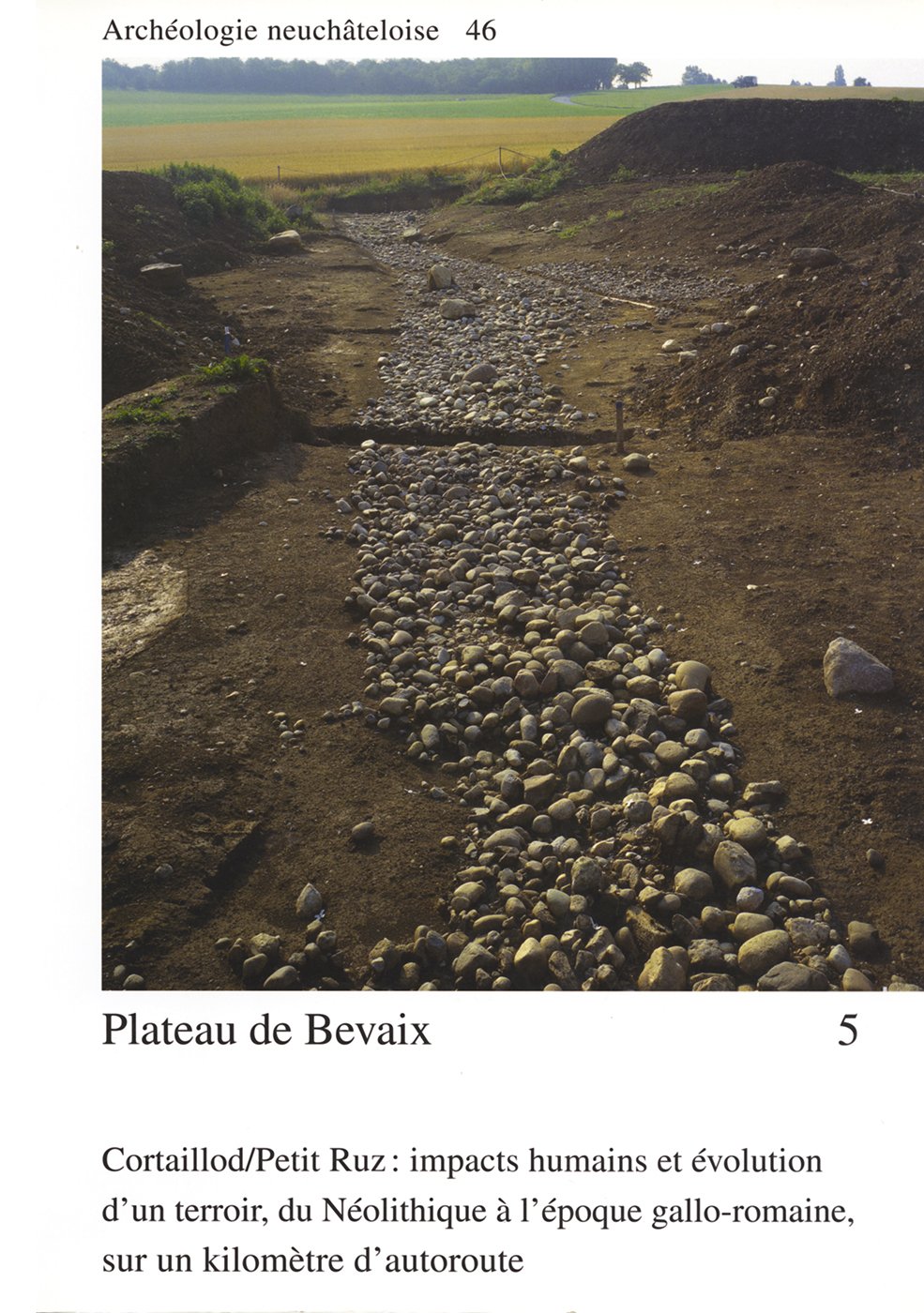 Plateau de Bevaix 5 (2 tomes): Cortaillod-Petit Ruz : impacts humains et évolution d'un terroir, du Néolithique à l'époque gallo-ro book